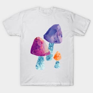 Whimsical Mushroom magic T-Shirt